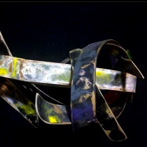 Davidson, Duane Paul